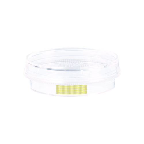 Tissue culture dish, (ØxH): 35 x 10 mm