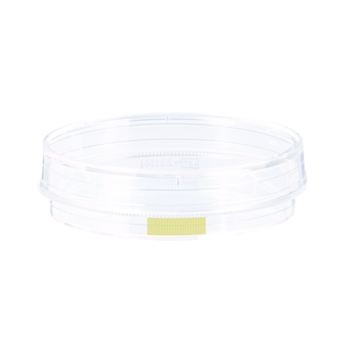 Tissue culture dish, (ØxH): 60 x 15 mm