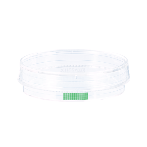 Tissue culture dish, (ØxH): 60 x 15 mm