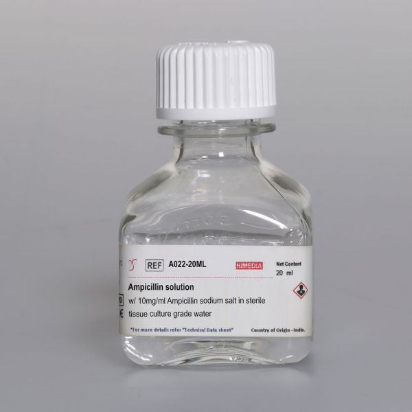 Ampicillin Solution